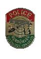 SWAT Cap Badge